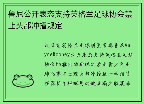 鲁尼公开表态支持英格兰足球协会禁止头部冲撞规定