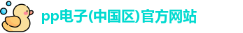 pp电子首页